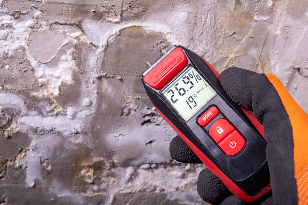Best Post-Remediation Services in Lavonia, GA