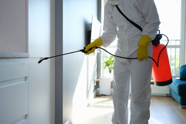 Professional Mold Remediation in Lavonia, GA