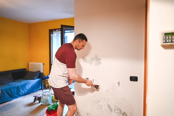 Best Bathroom Mold Remediation in Lavonia, GA